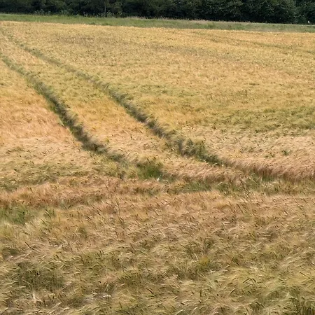Haus Mit Garten In Der Naehe Rhein Und Flughafen * Kolín nad Rýnem