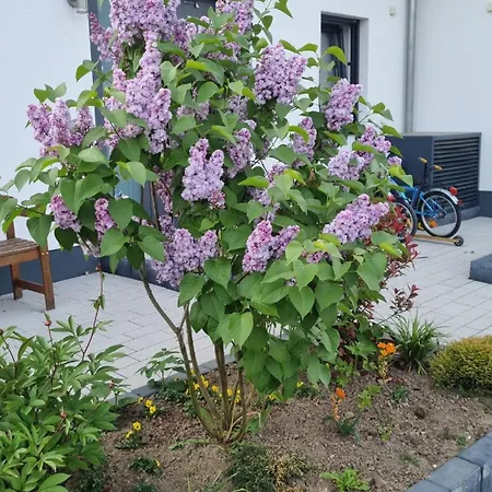 Σπίτι διακοπών Haus Mit Garten In Der Naehe Rhein Und Flughafen